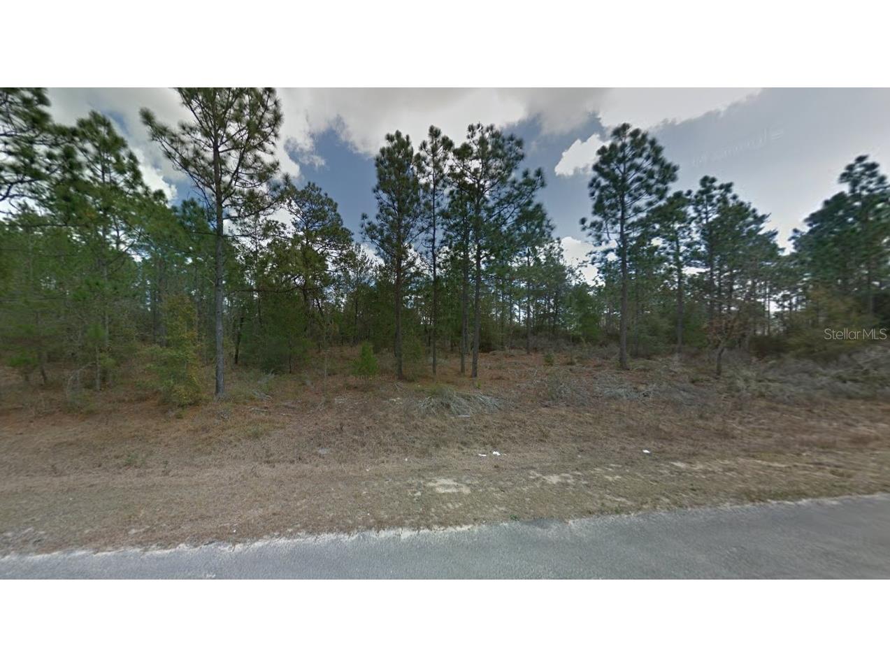 112 114 & 116 Paris Street Interlachen FL 32148 O6234024 image1