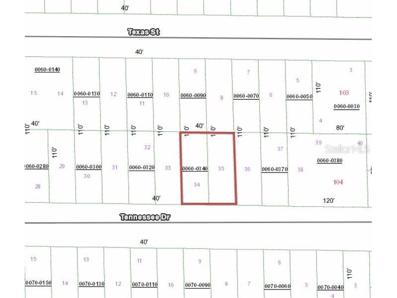 112 & 114 Tennessee Drive Hawthorne FL 32640 FC312086 image1