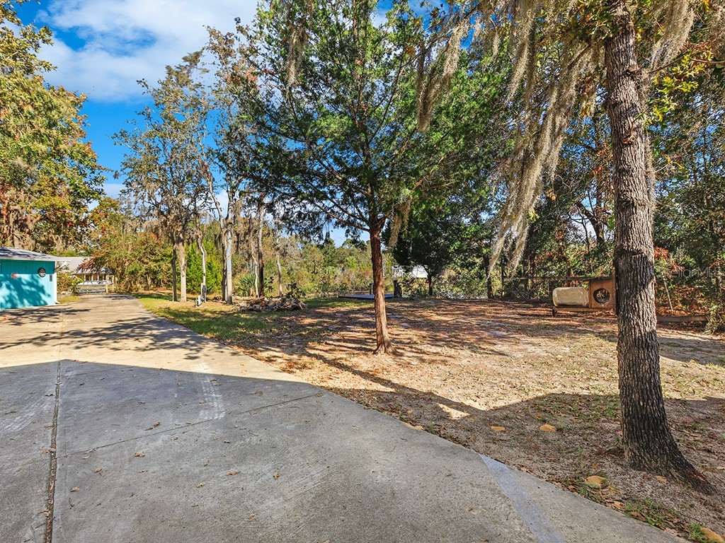 112 8th Street NE Steinhatchee FL 32359 G5112947 image11