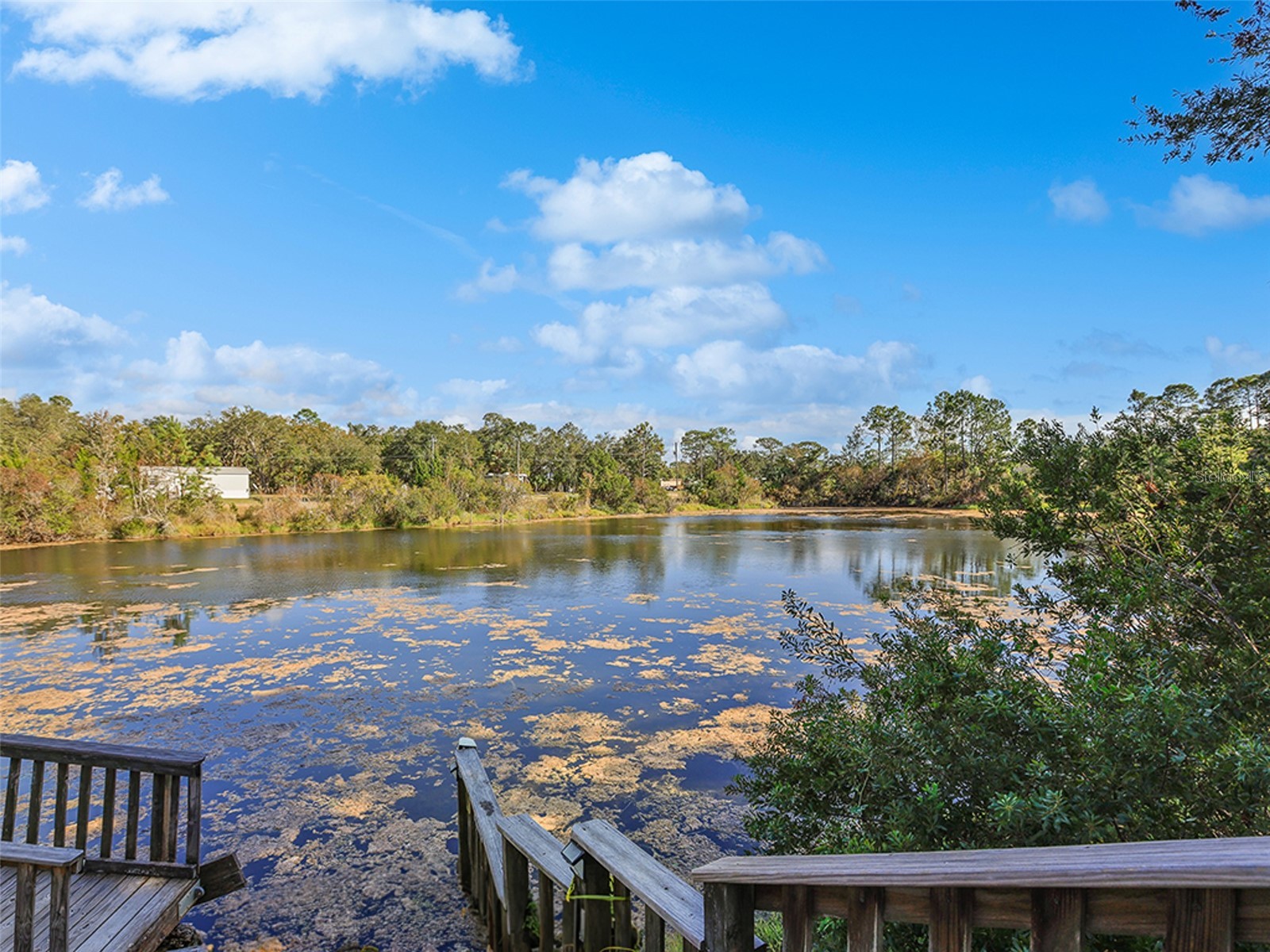 112 8th Street NE Steinhatchee FL 32359 G5112947 image14