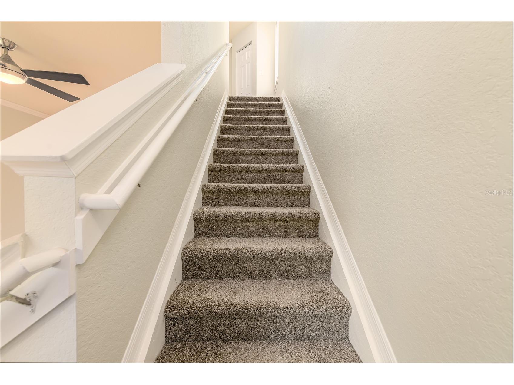 112 Beach Haven Lane #112 Tampa FL 33609 TB8494485 image13