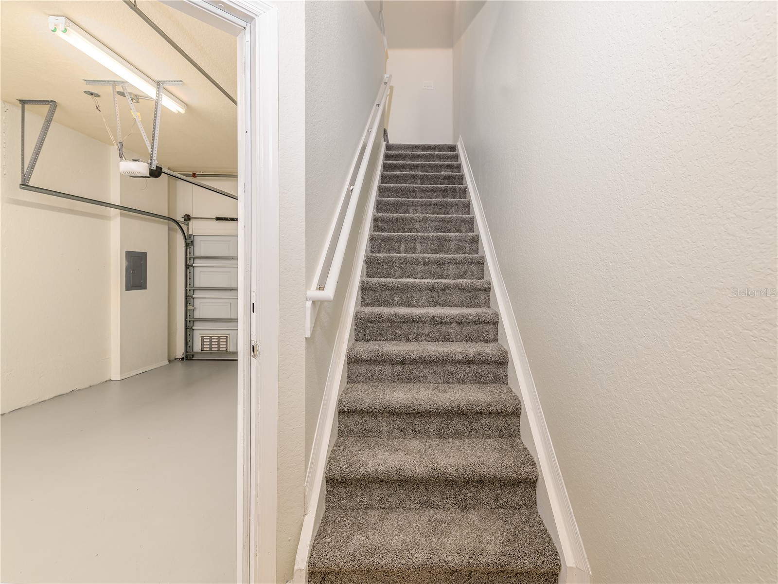 112 Beach Haven Lane #112 Tampa FL 33609 TB8494485 image3