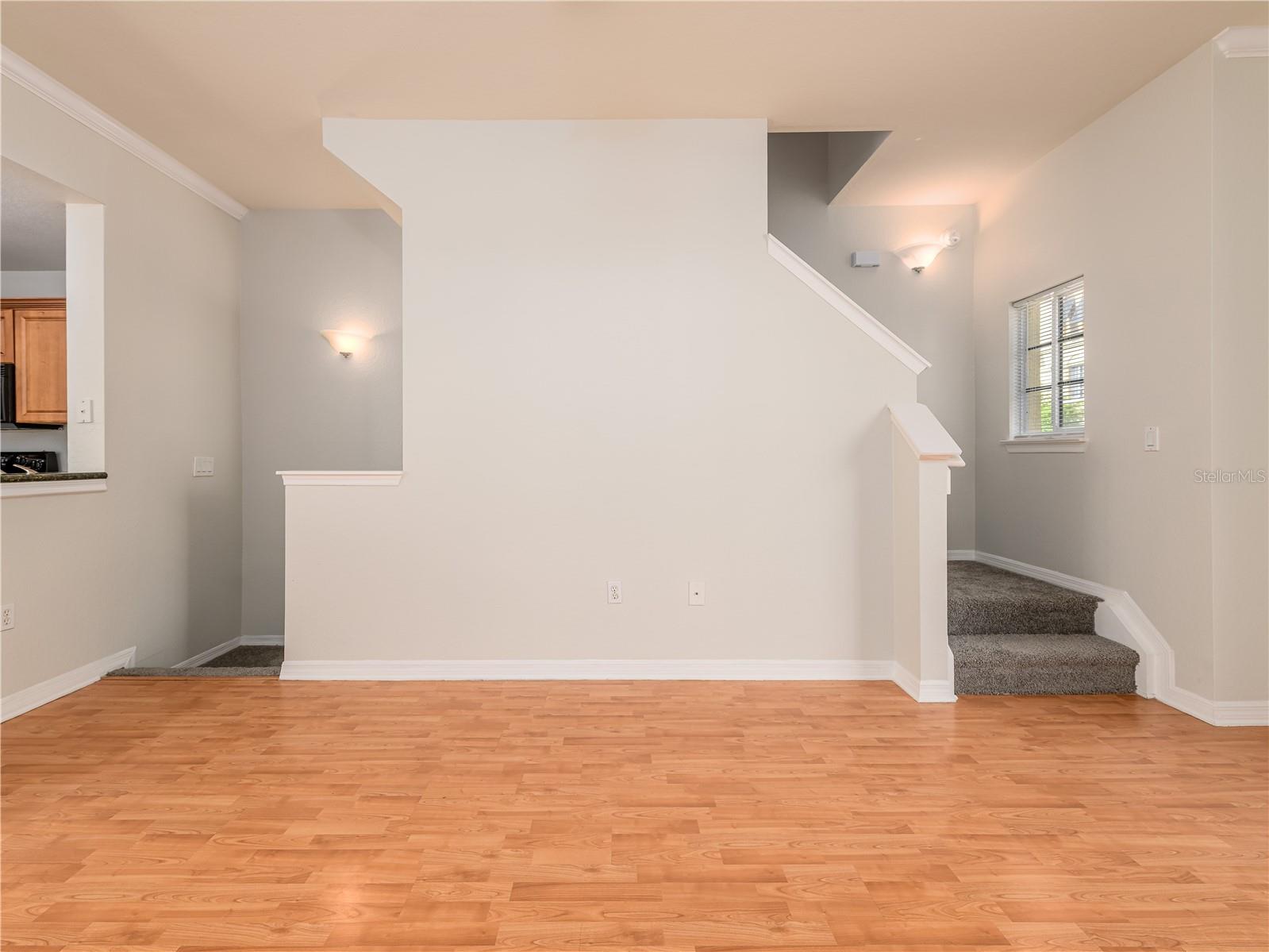 112 Beach Haven Lane #112 Tampa FL 33609 TB8494485 image7