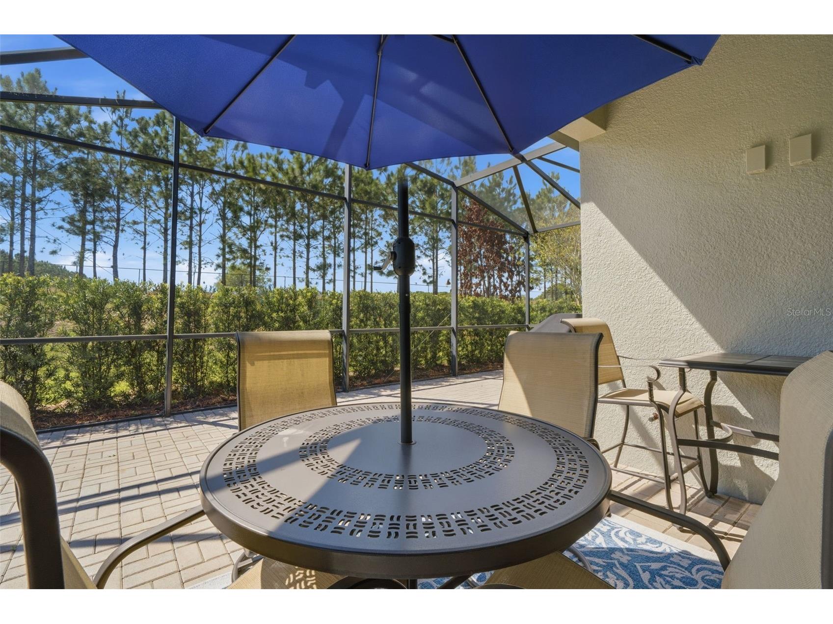 112 Castellon Court Davenport FL 33837 S5146479 image6