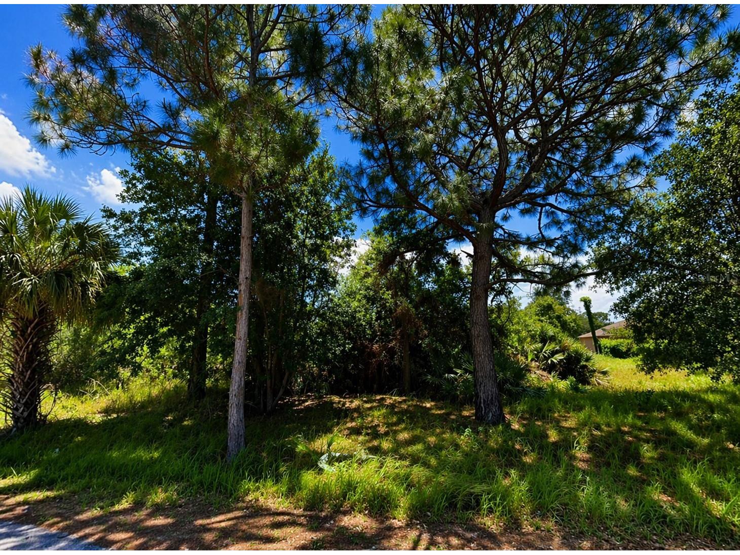 112 Crescent Street SE Palm Bay FL 32909 S5147957 image3