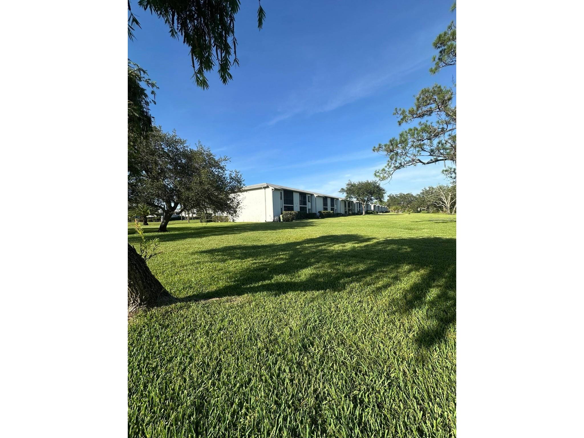 112 Cypress Court #112 Oldsmar FL 34677 TB8494664 image12