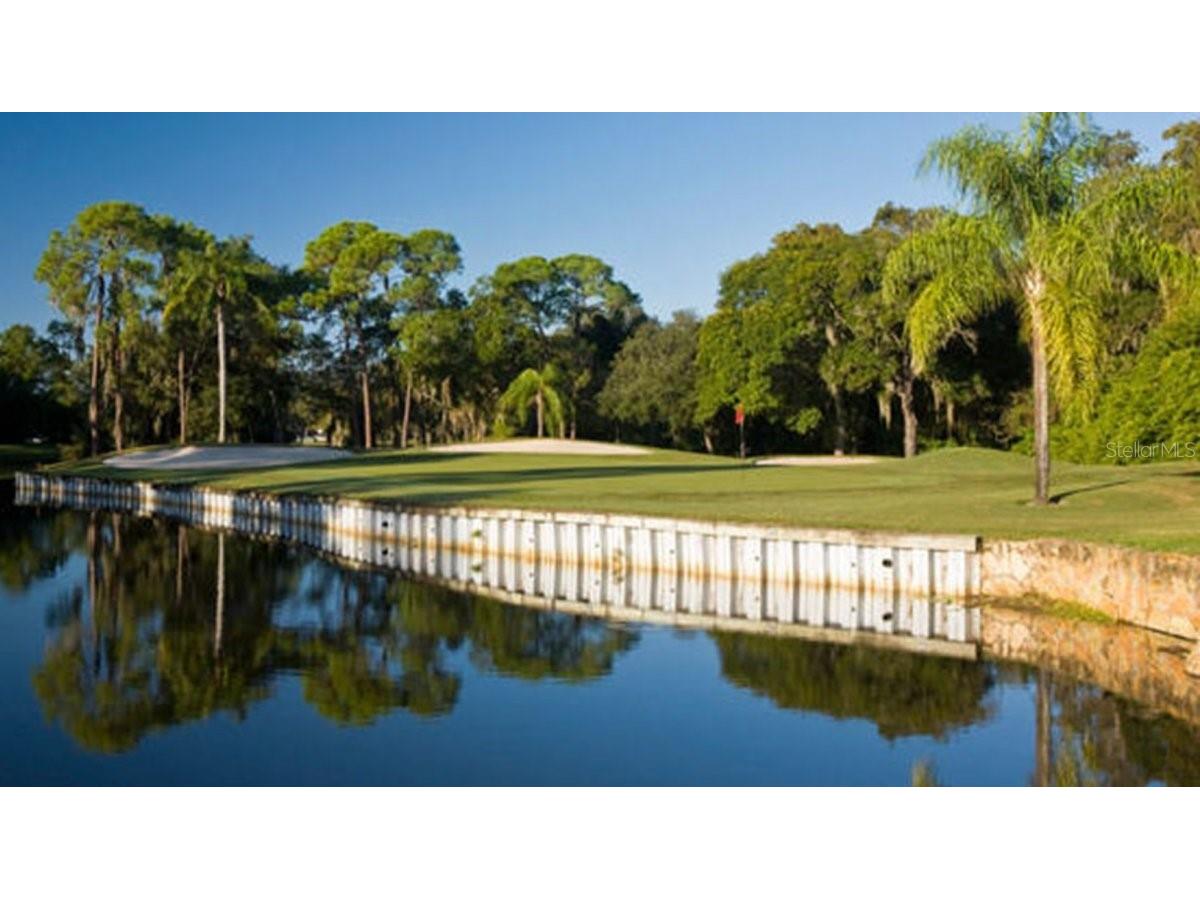 112 Cypress Court #112 Oldsmar FL 34677 TB8494664 image9