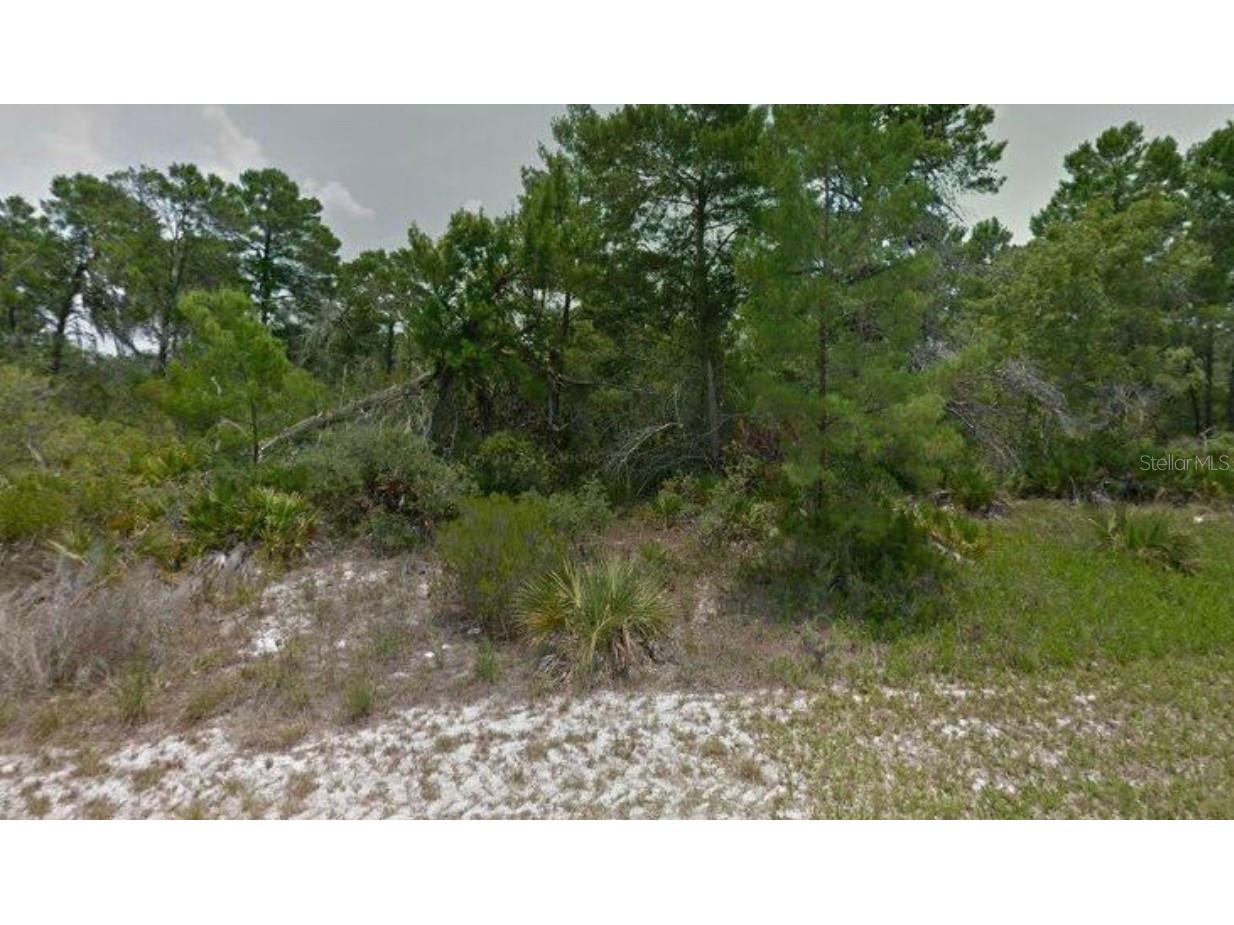 112 Dominica Avenue NE Lake Placid FL 33852 T3465806 image1