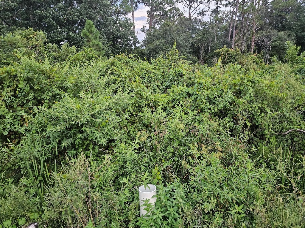 112 Draycott Avenue Lake Placid FL 33852 - LAKE JUNE IN WINTER P4936028 image1