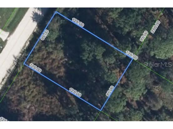 112 Draycott Avenue Lake Placid FL 33852 - LAKE JUNE IN WINTER P4936028 image2