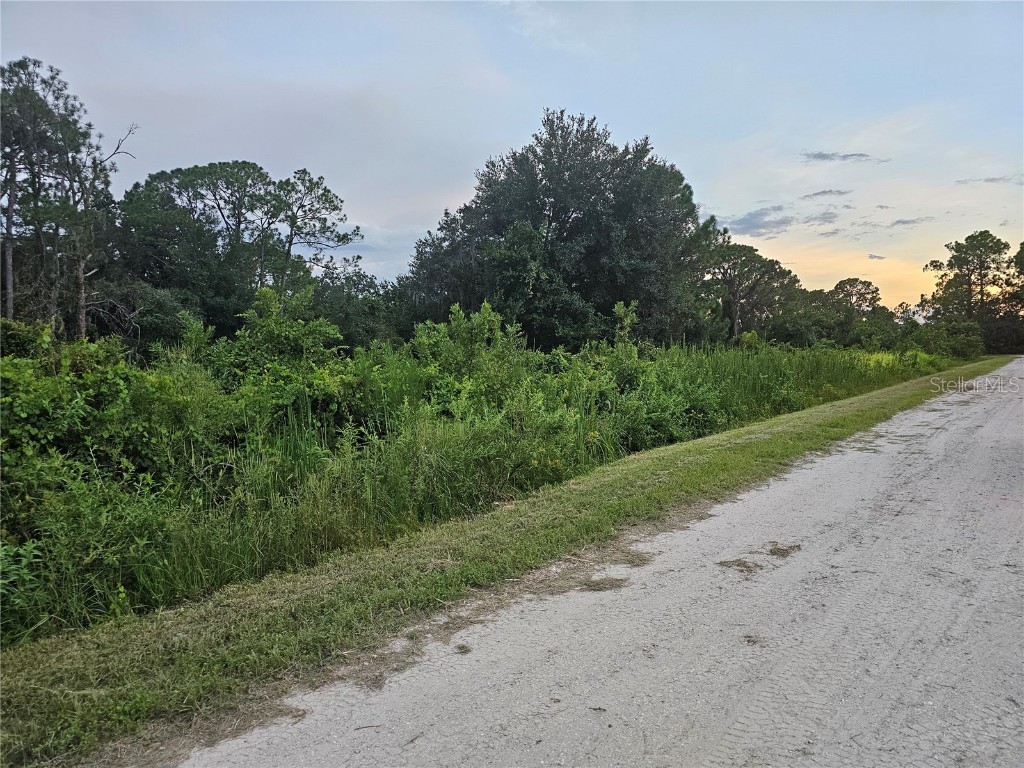 112 Draycott Avenue Lake Placid FL 33852 - LAKE JUNE IN WINTER P4936028 image5