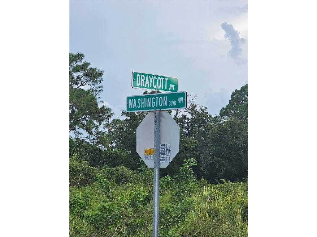 112 Draycott Avenue Lake Placid FL 33852 - LAKE JUNE IN WINTER P4936028 image7