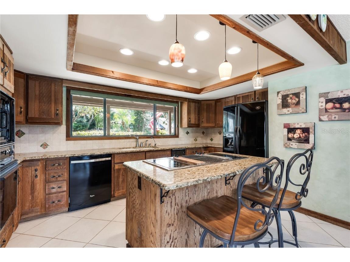 112 First Street Tavares FL 32778 O6367398 image16