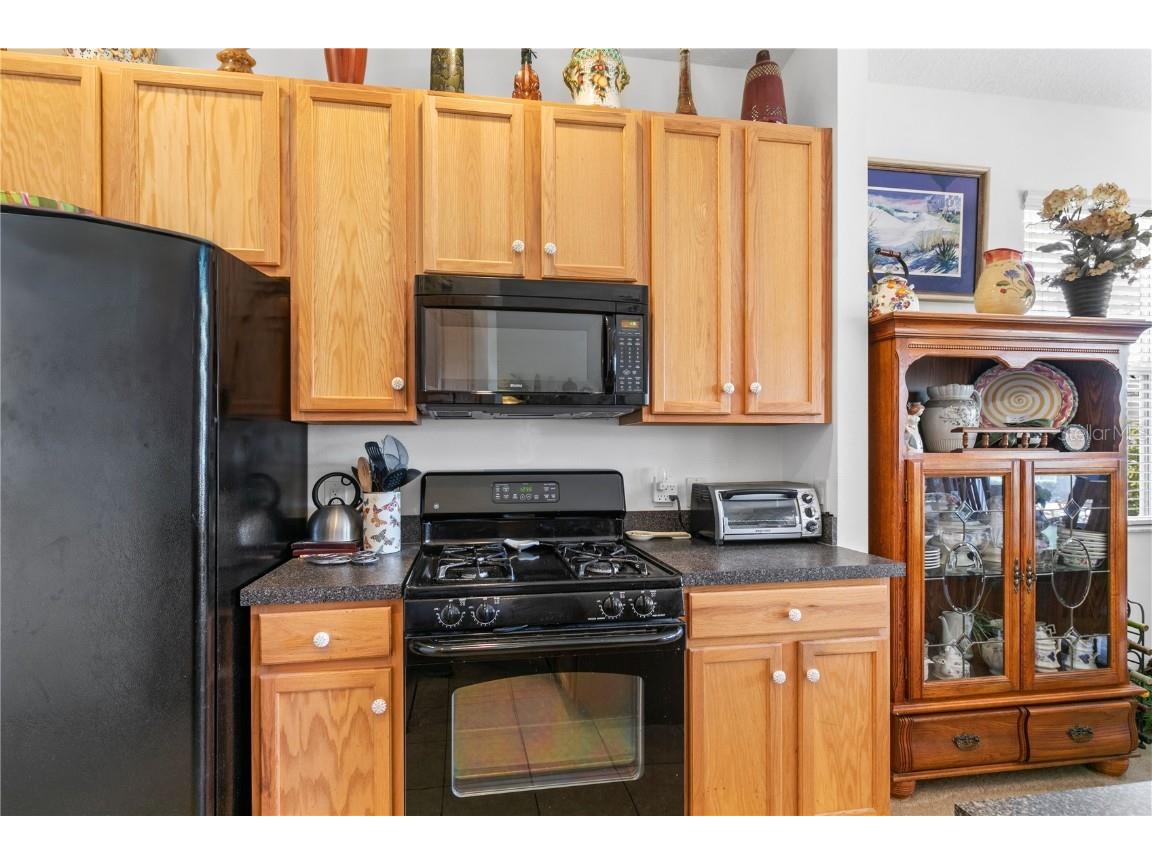 112 Flame Vine Way Groveland FL 34736 G5093580 image11