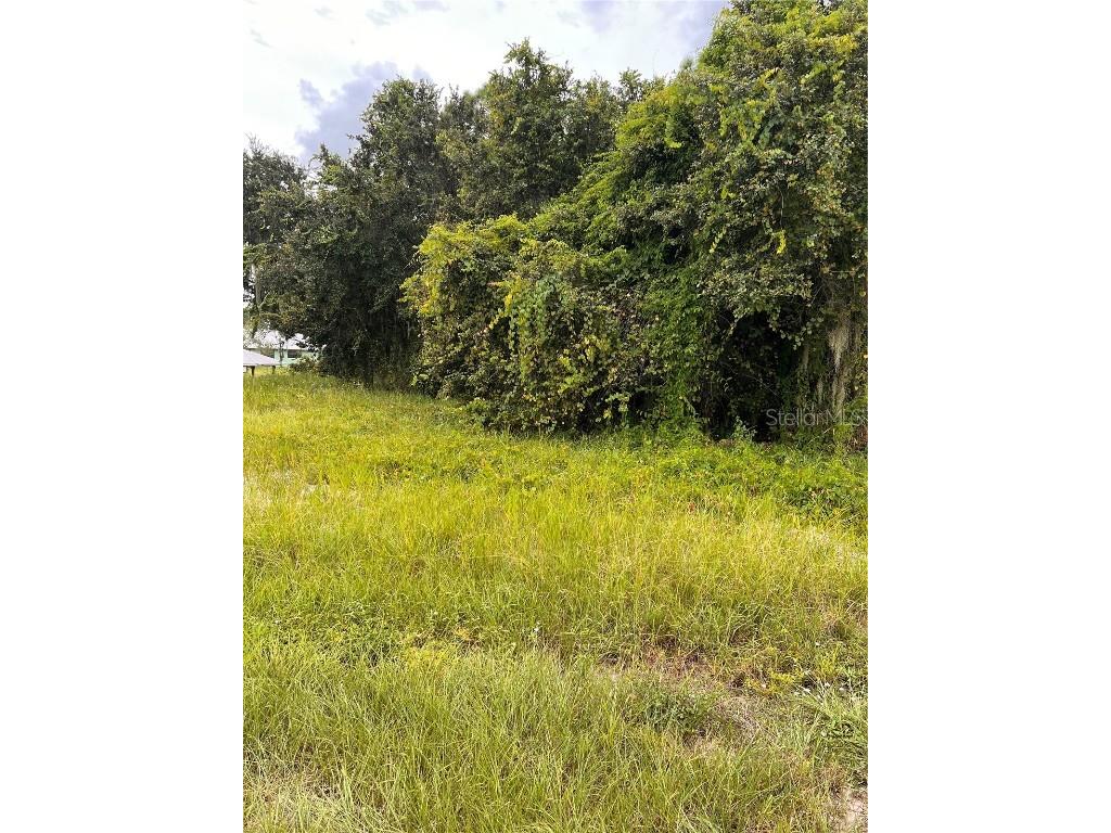 112 Happiness Avenue Lake Placid FL 33852 O6342363 image1