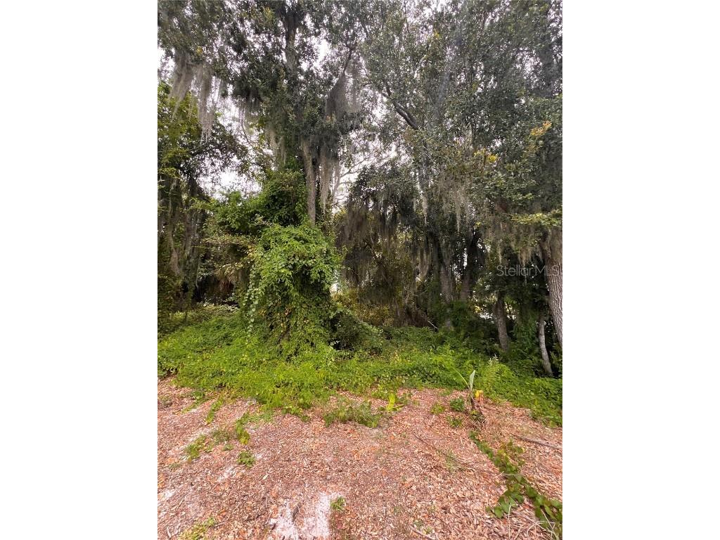 112 Happiness Avenue Lake Placid FL 33852 O6342363 image2