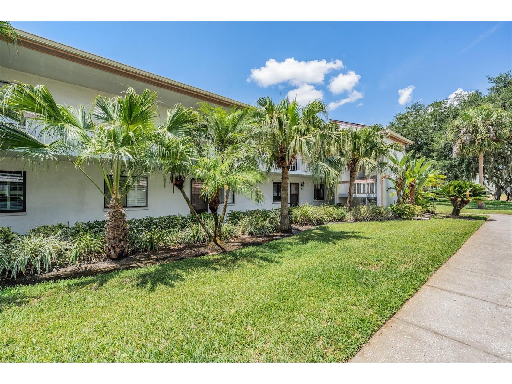 112 Lakeview Place #12 Oldsmar FL 34677 W7886045 image2