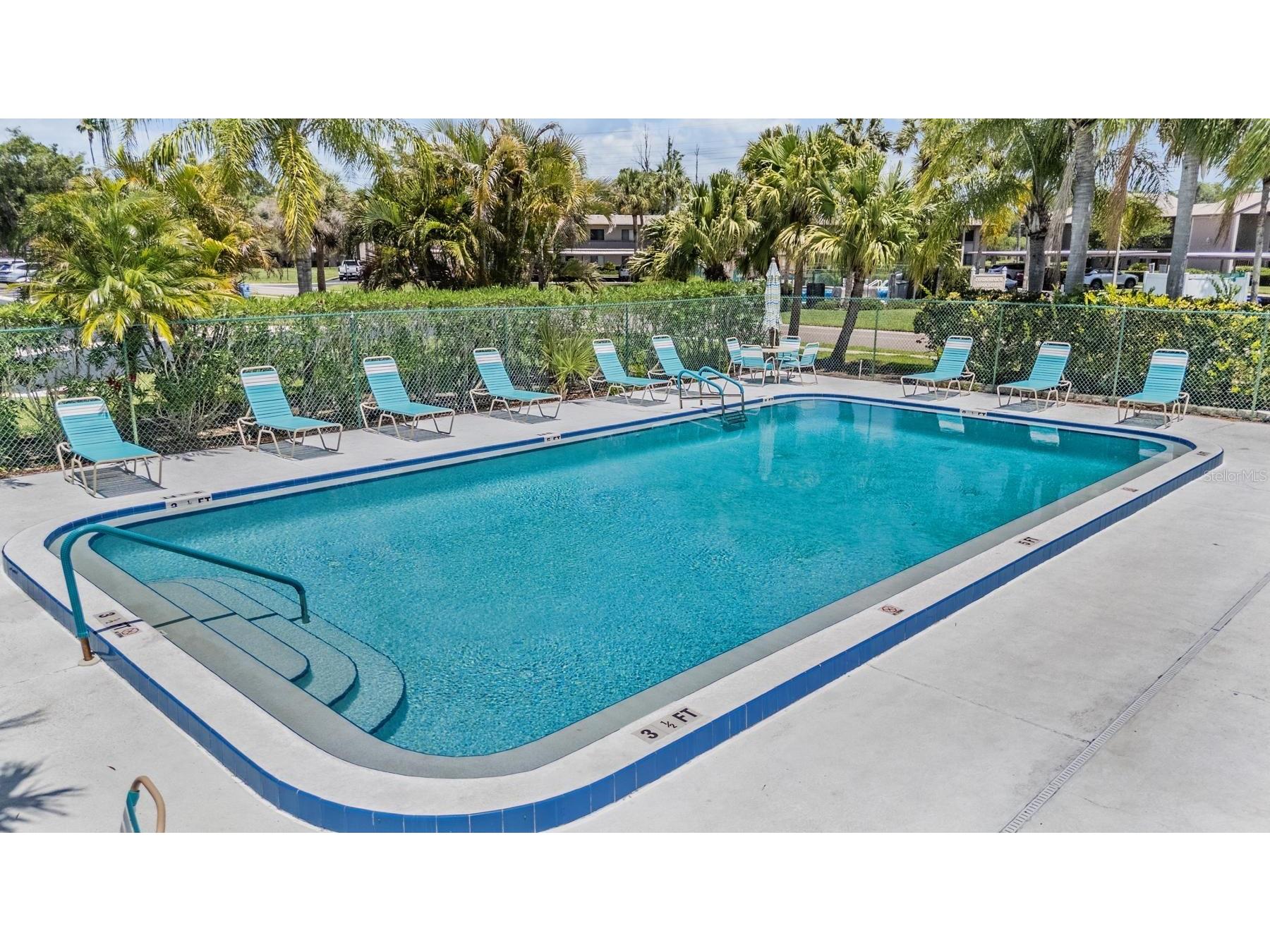 112 Lakeview Place #12 Oldsmar FL 34677 W7886045 image28