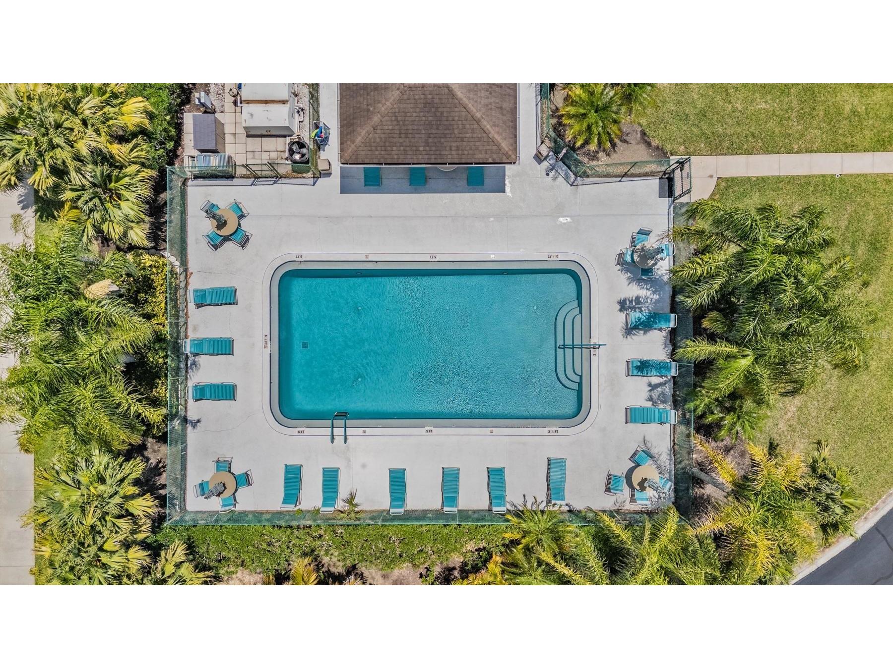 112 Lakeview Place #12 Oldsmar FL 34677 W7886045 image30