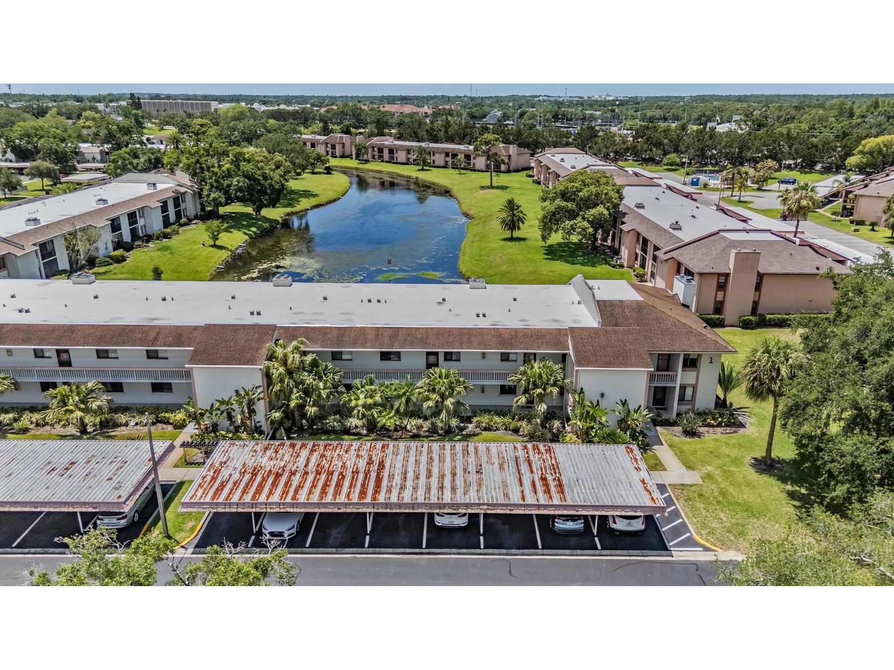 112 Lakeview Place #12 Oldsmar FL 34677 W7886045 image6