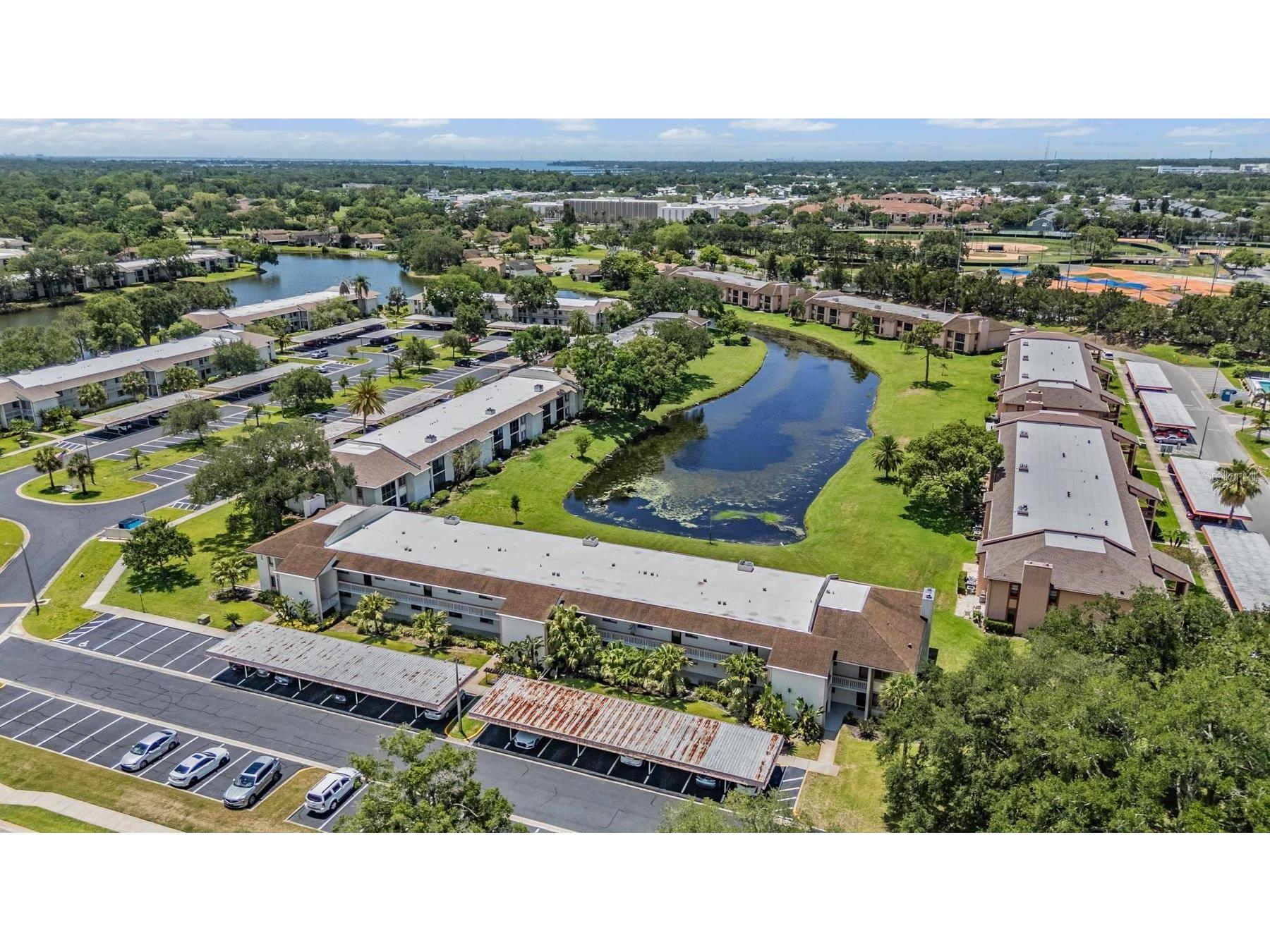 112 Lakeview Place #12 Oldsmar FL 34677 W7886045 image7