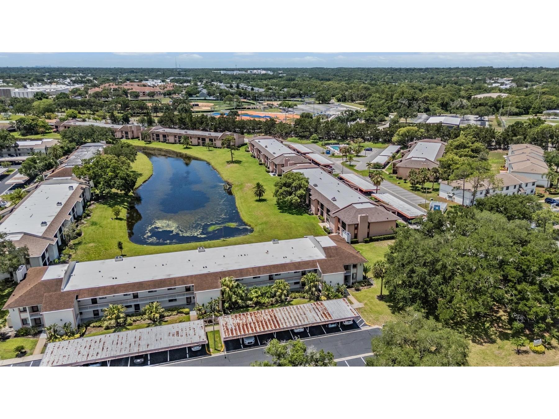 112 Lakeview Place #12 Oldsmar FL 34677 W7886045 image8