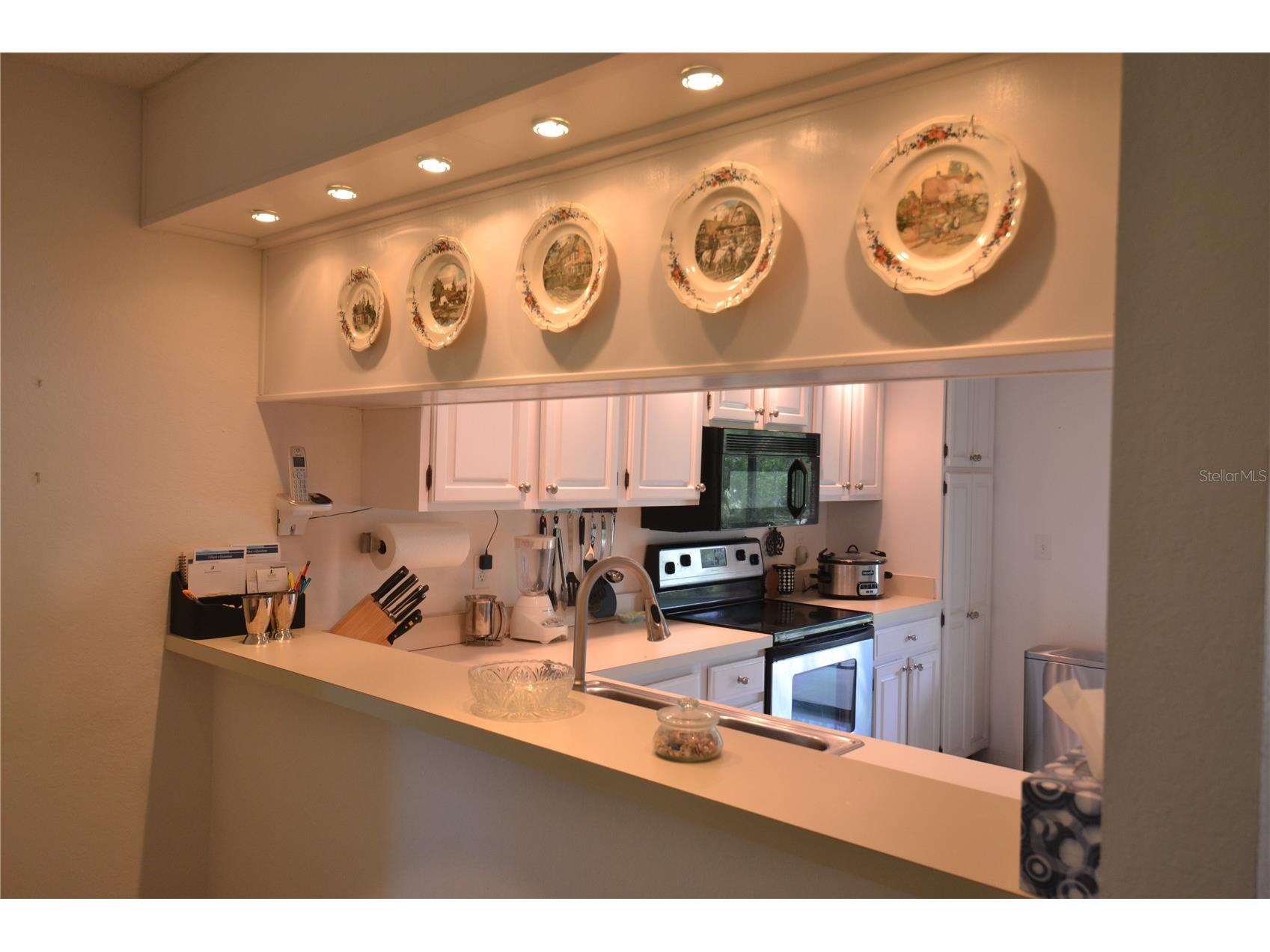 112 Lindsay Lane Oldsmar FL 34677 TB8501797 image21