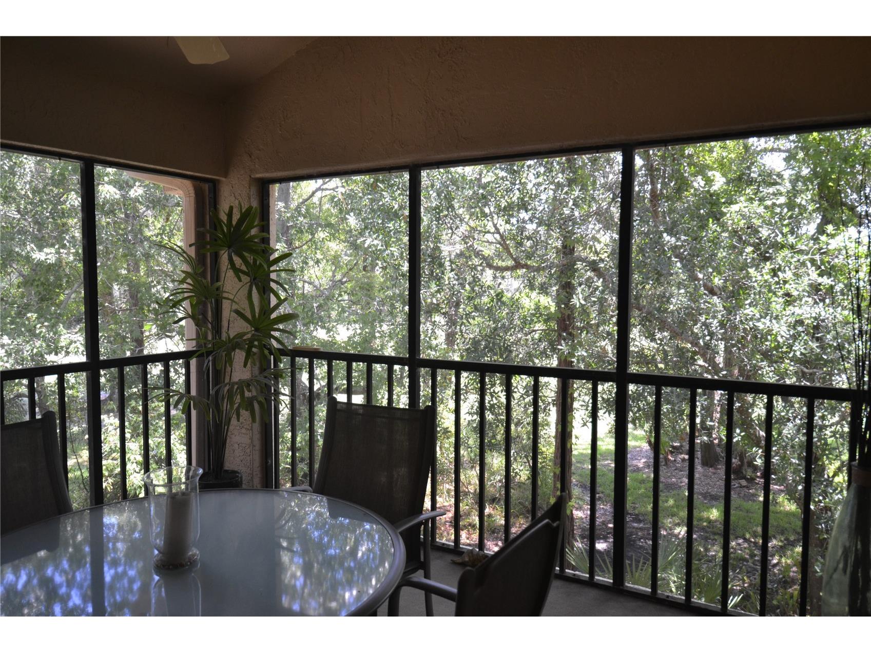 112 Lindsay Lane Oldsmar FL 34677 TB8501797 image41