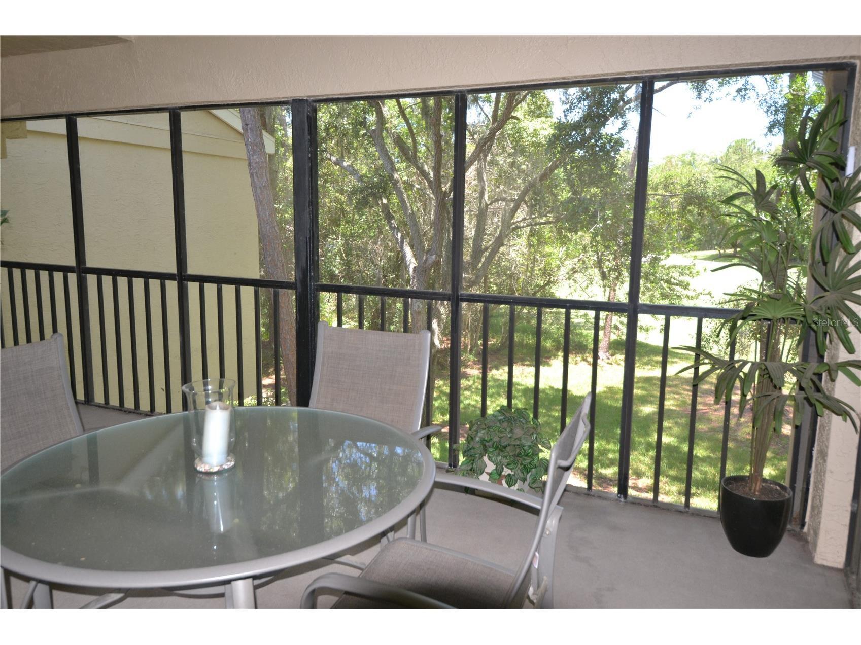 112 Lindsay Lane Oldsmar FL 34677 TB8501797 image42