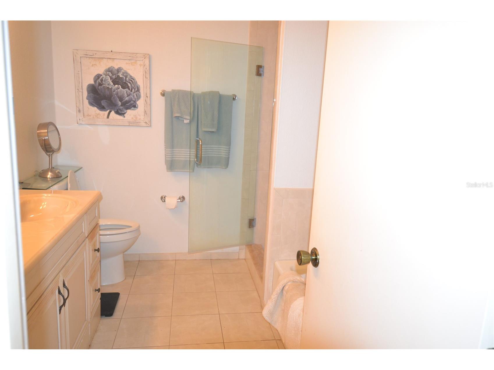 112 Lindsay Lane Oldsmar FL 34677 TB8501797 image48