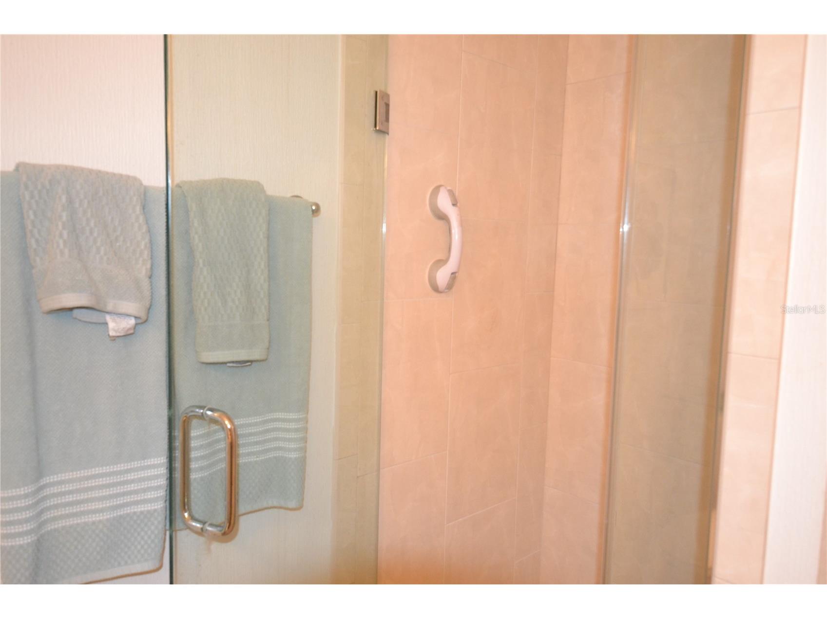 112 Lindsay Lane Oldsmar FL 34677 TB8501797 image49