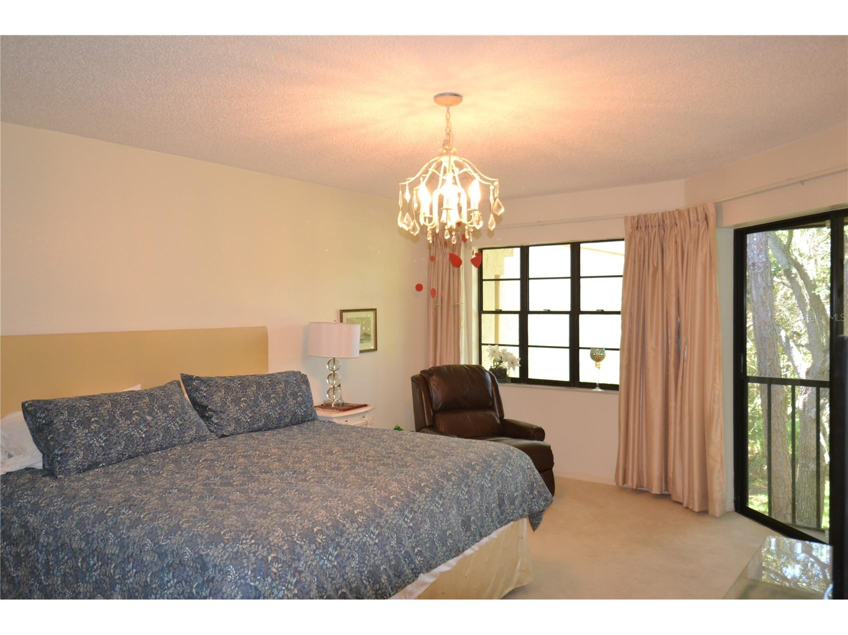 112 Lindsay Lane Oldsmar FL 34677 TB8501797 image51