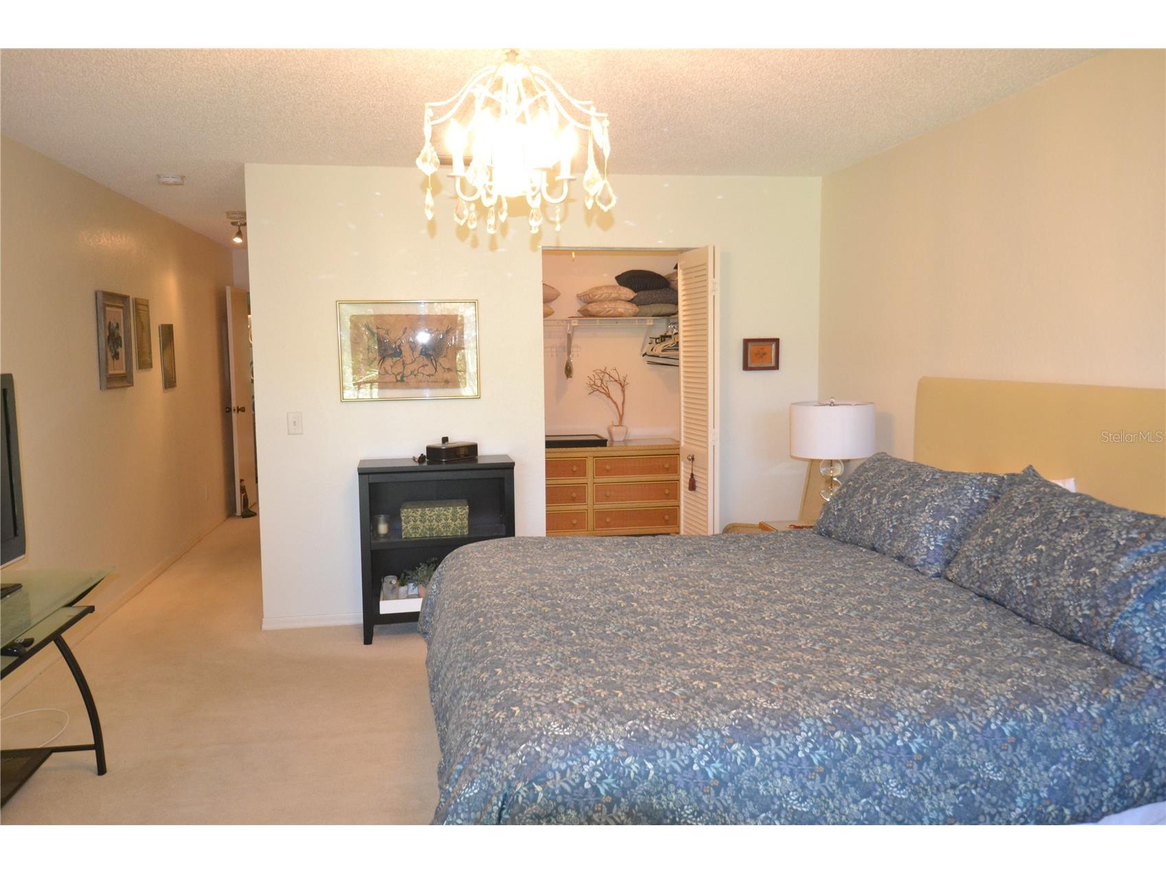 112 Lindsay Lane Oldsmar FL 34677 TB8501797 image54