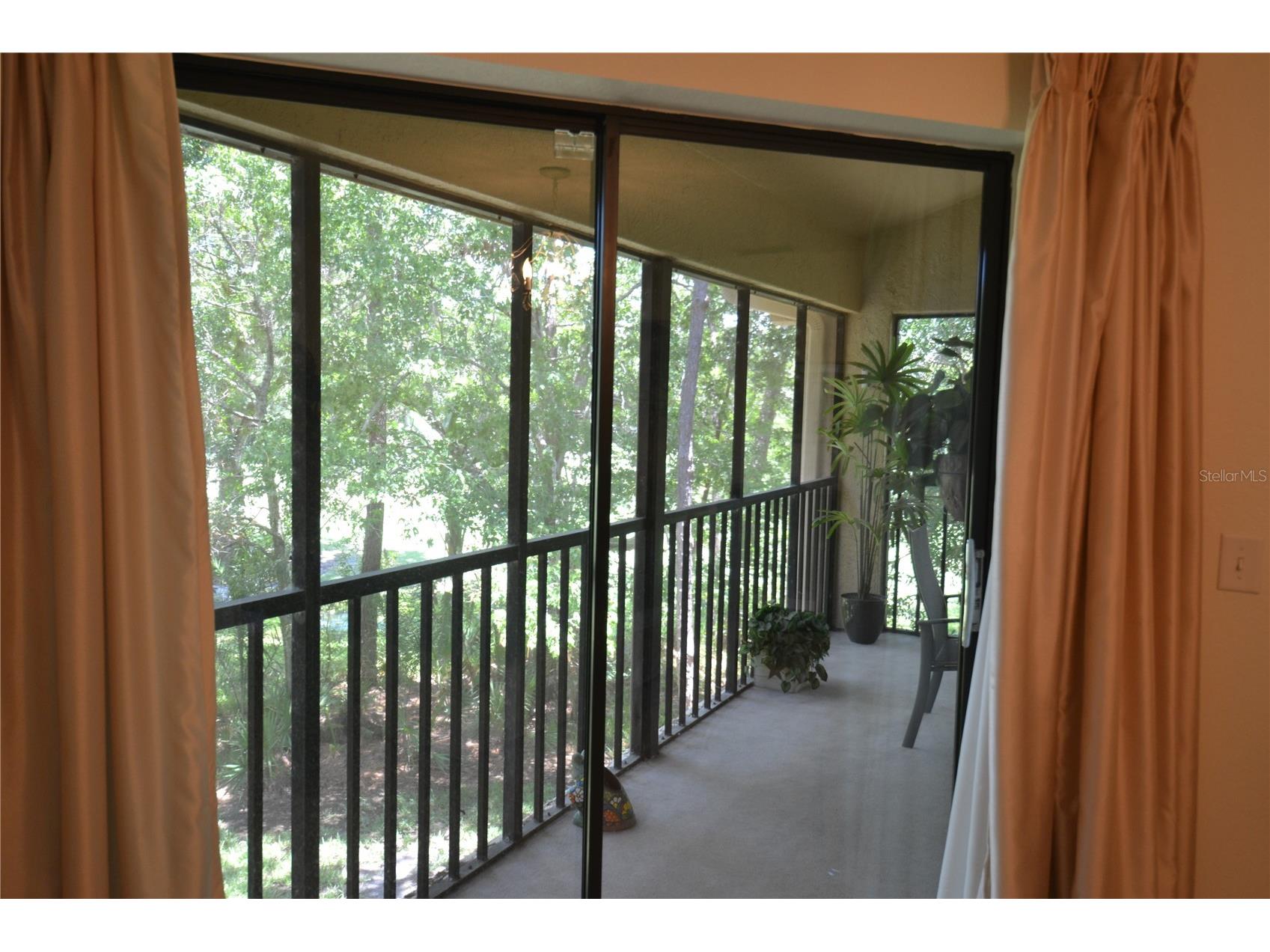 112 Lindsay Lane Oldsmar FL 34677 TB8501797 image57