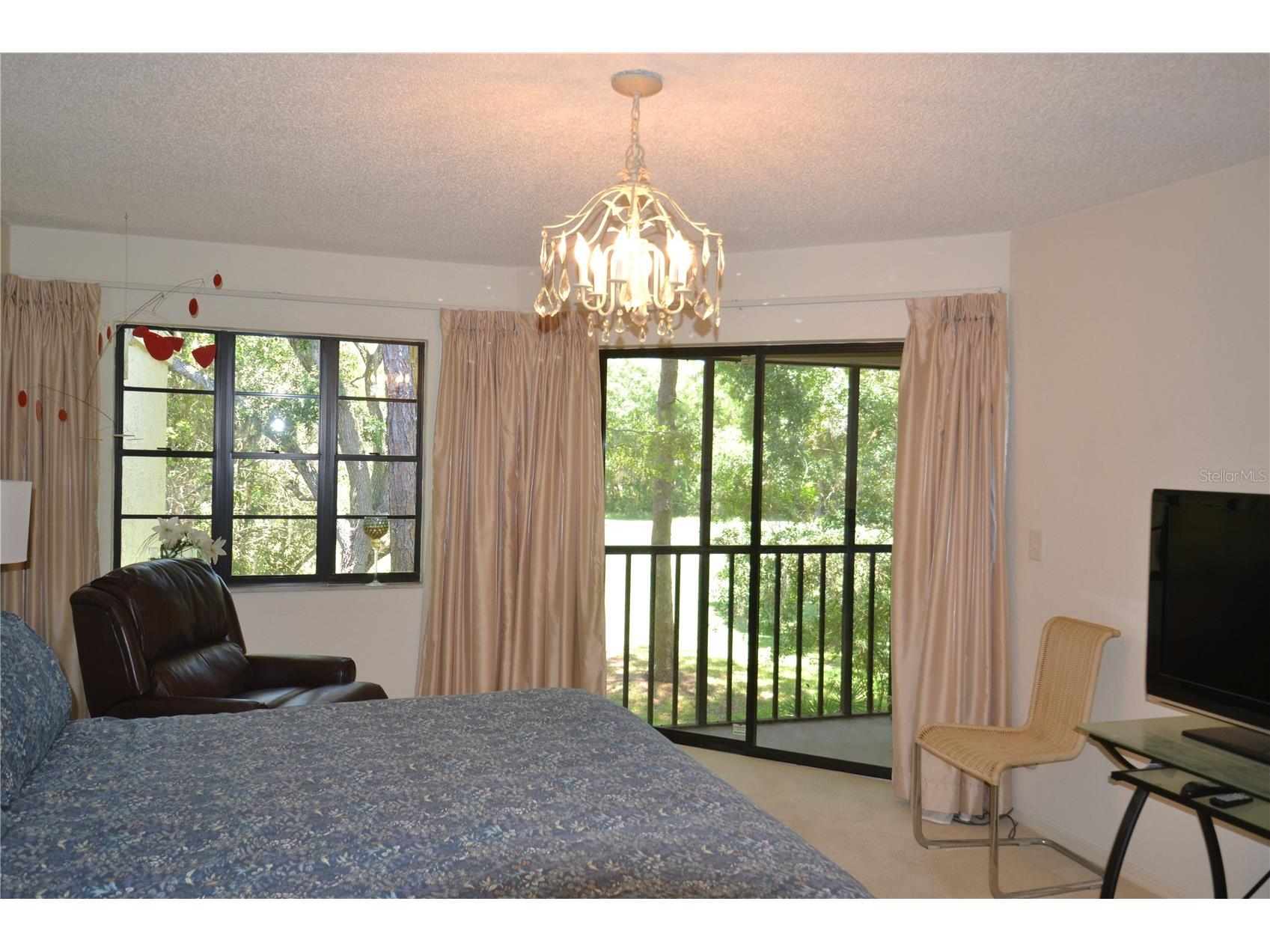 112 Lindsay Lane Oldsmar FL 34677 TB8501797 image58