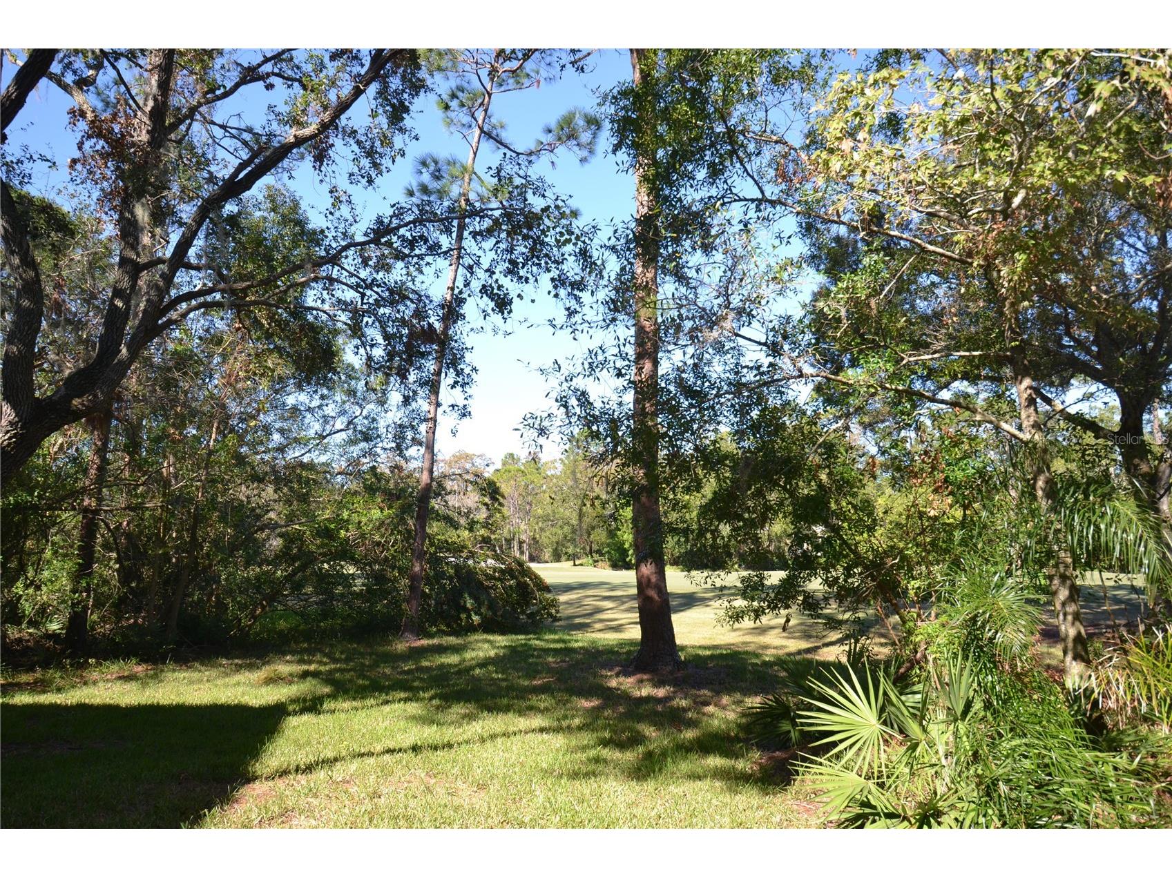 112 Lindsay Lane Oldsmar FL 34677 TB8501797 image62