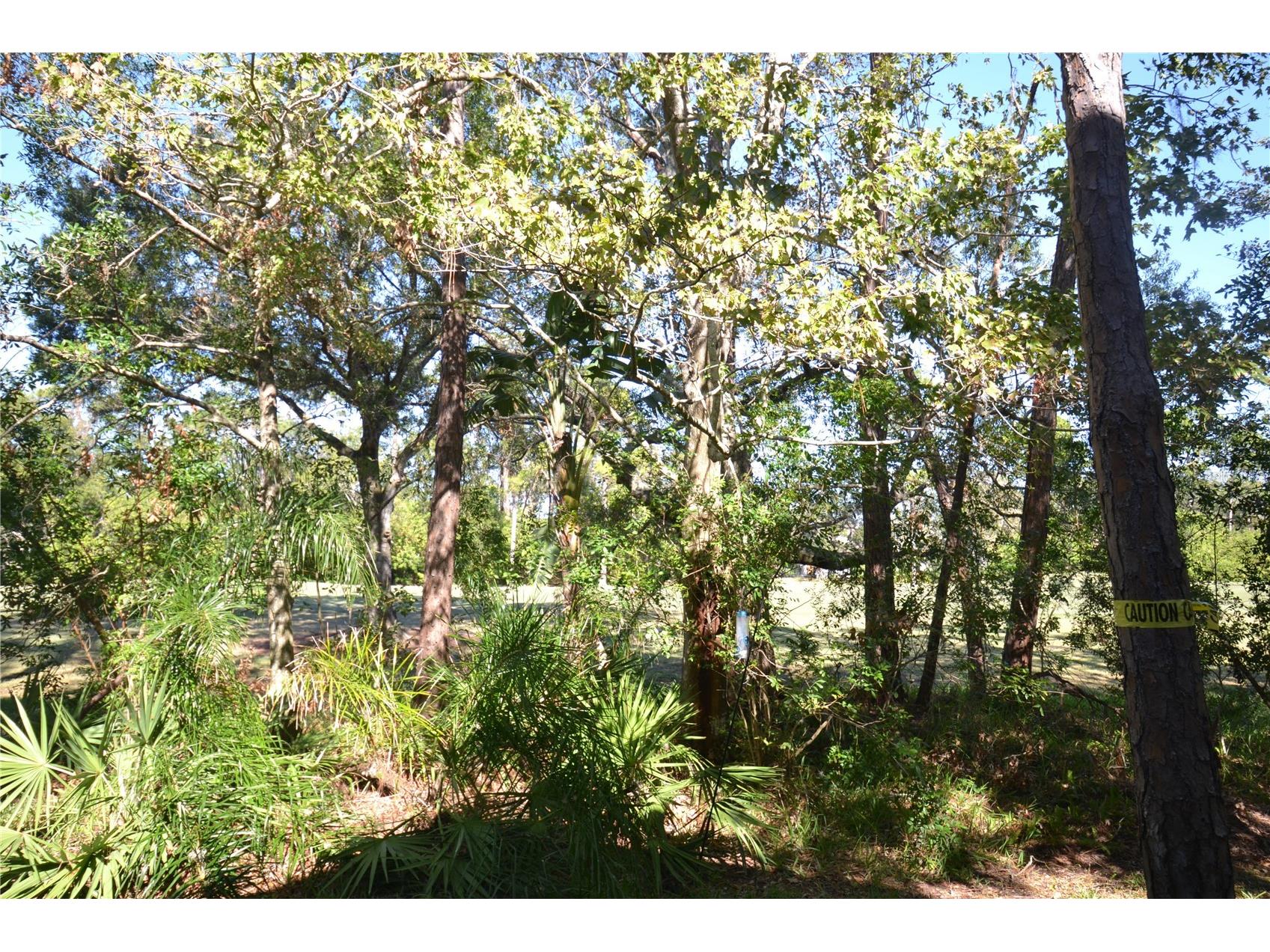 112 Lindsay Lane Oldsmar FL 34677 TB8501797 image63