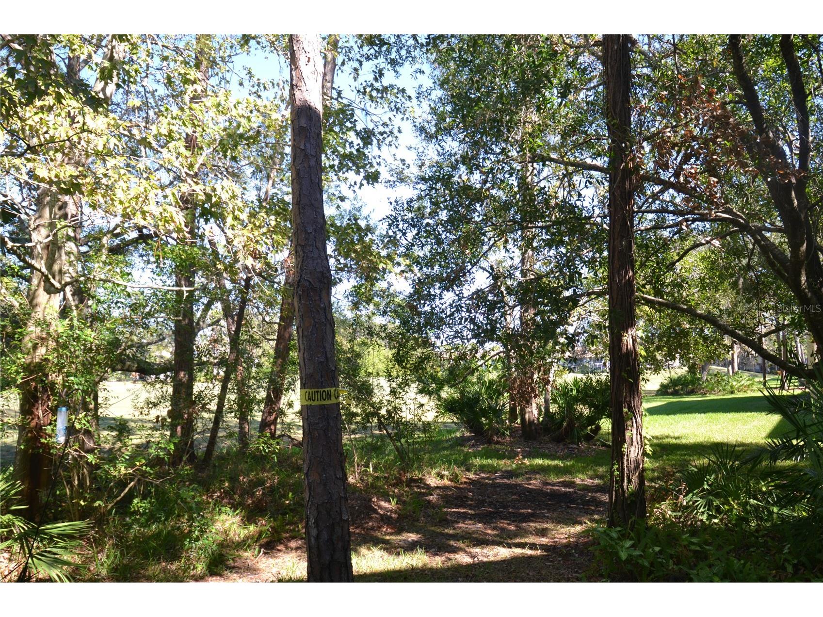112 Lindsay Lane Oldsmar FL 34677 TB8501797 image64