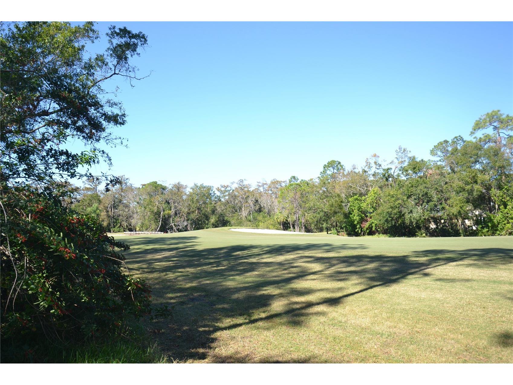 112 Lindsay Lane Oldsmar FL 34677 TB8501797 image65