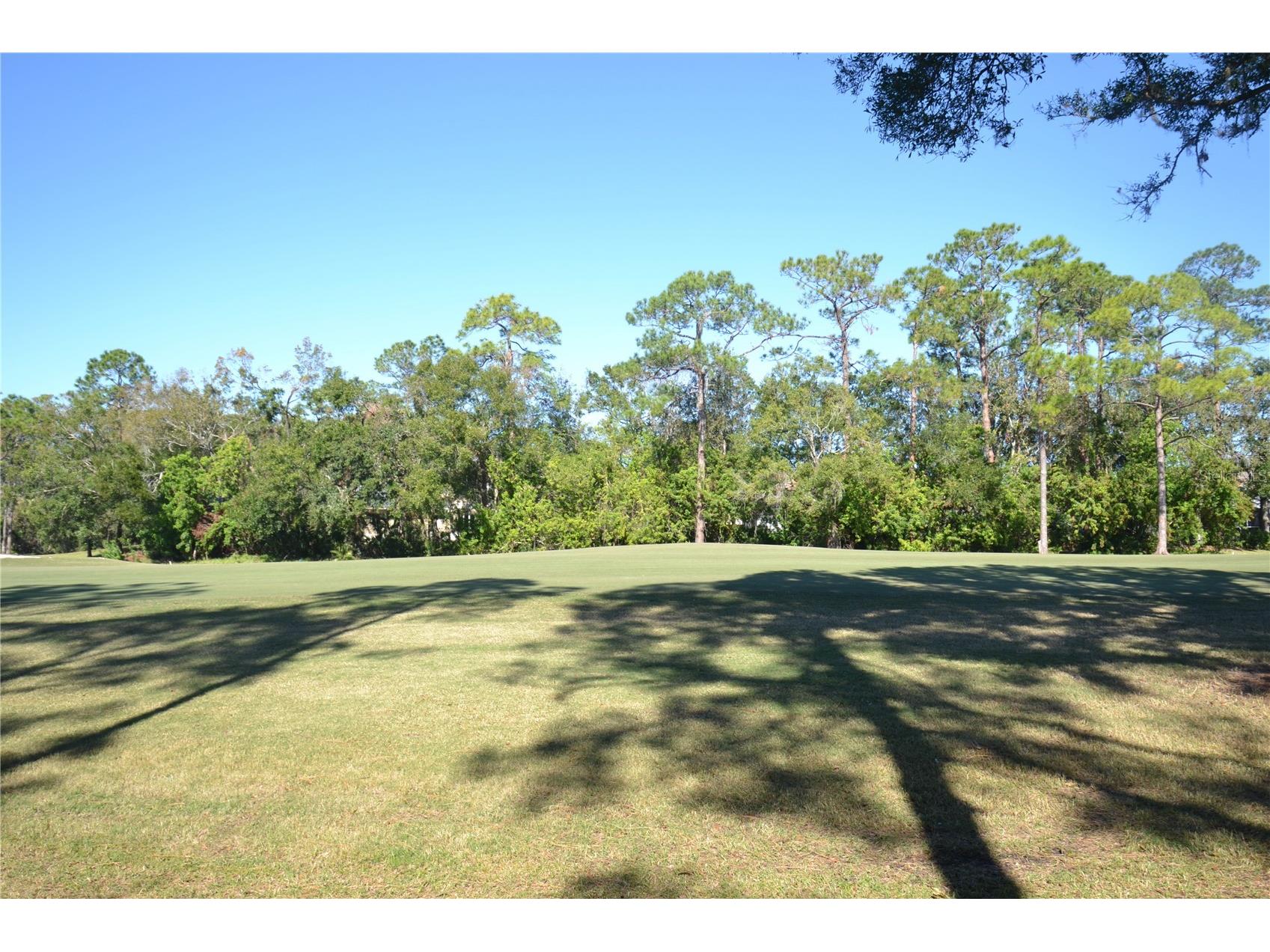 112 Lindsay Lane Oldsmar FL 34677 TB8501797 image66