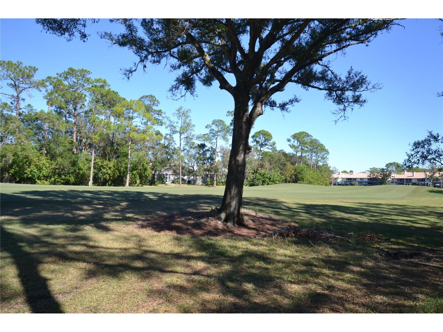 112 Lindsay Lane Oldsmar FL 34677 TB8501797 image67