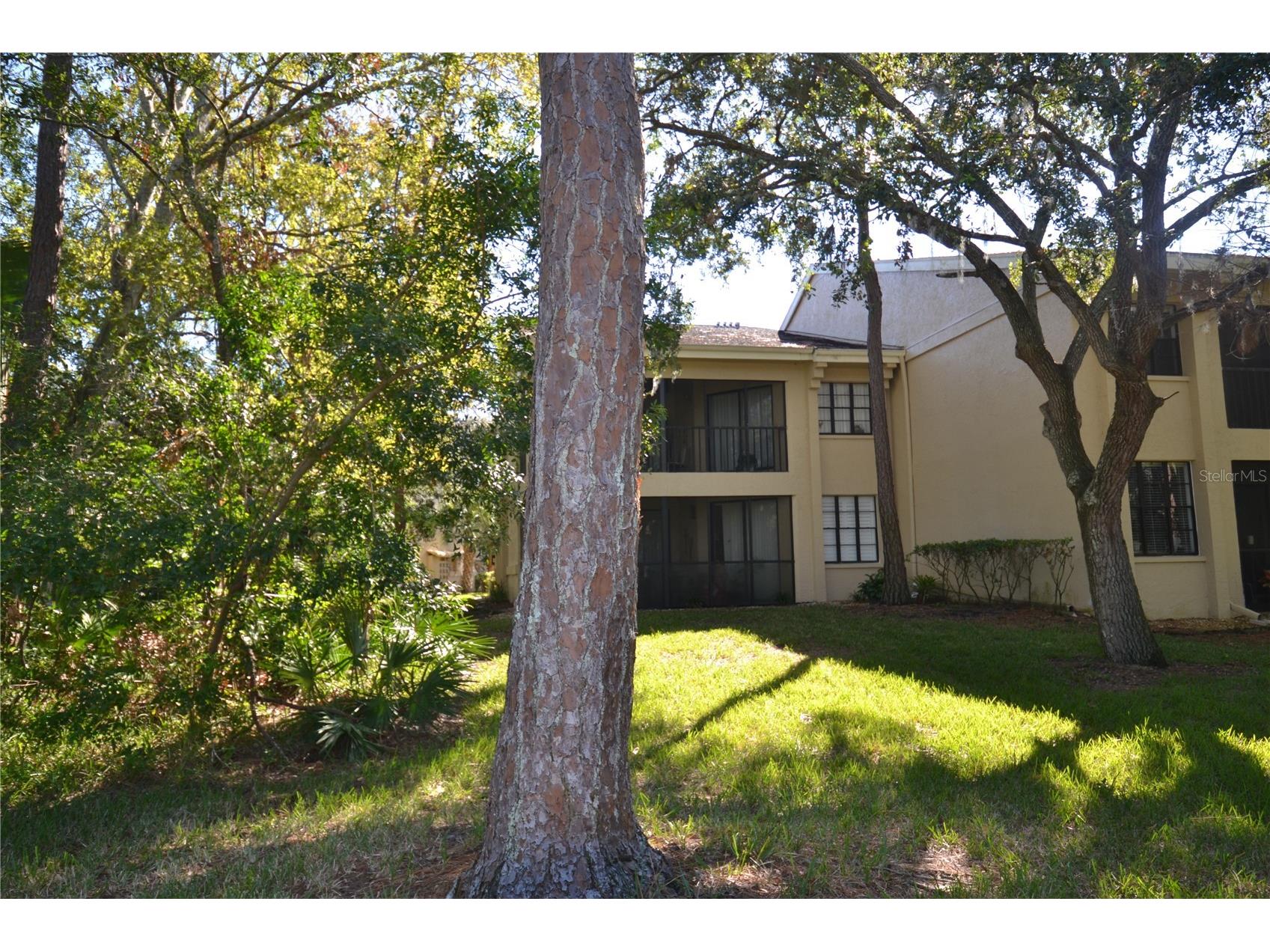 112 Lindsay Lane Oldsmar FL 34677 TB8501797 image68