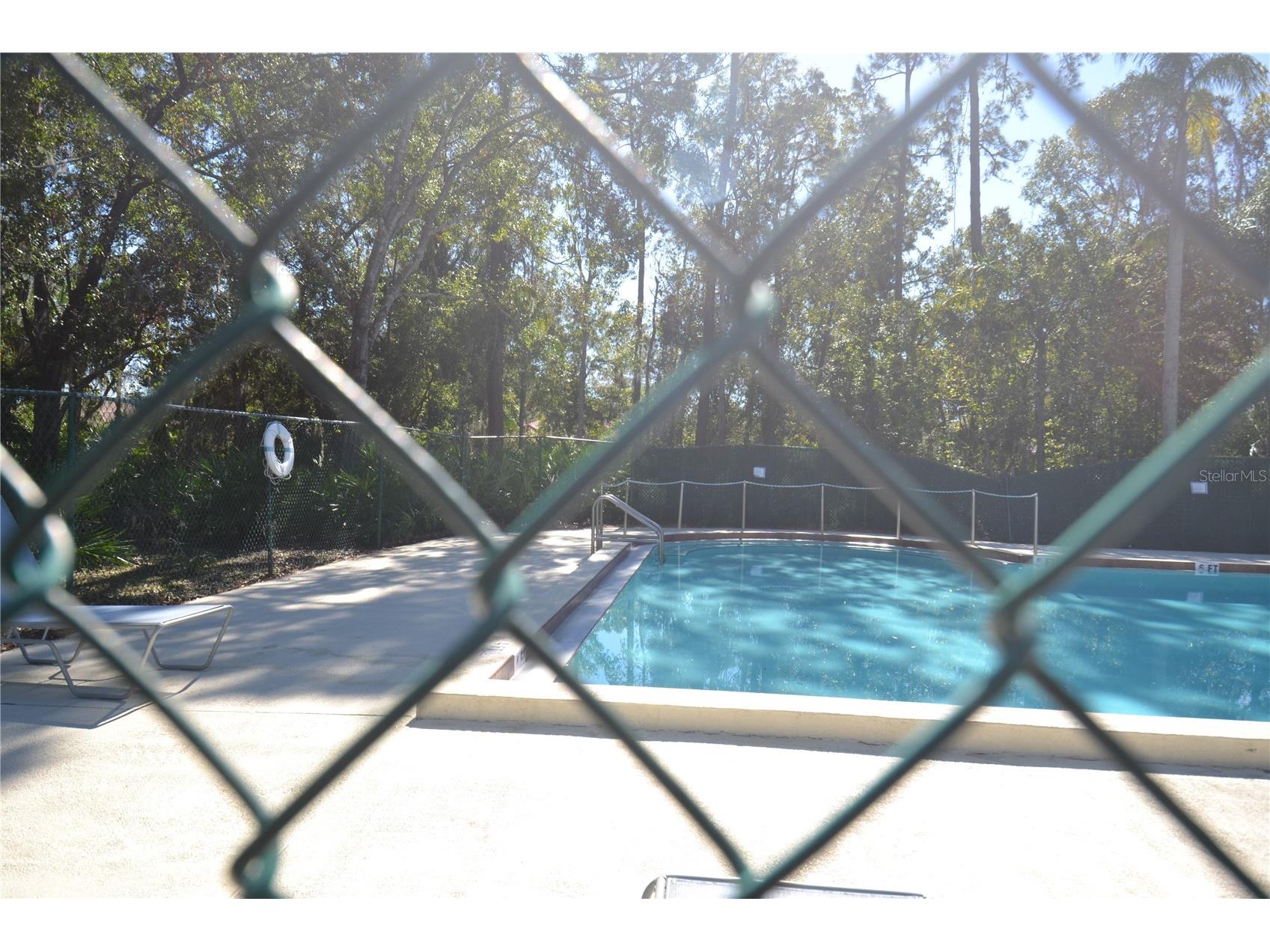 112 Lindsay Lane Oldsmar FL 34677 TB8501797 image70