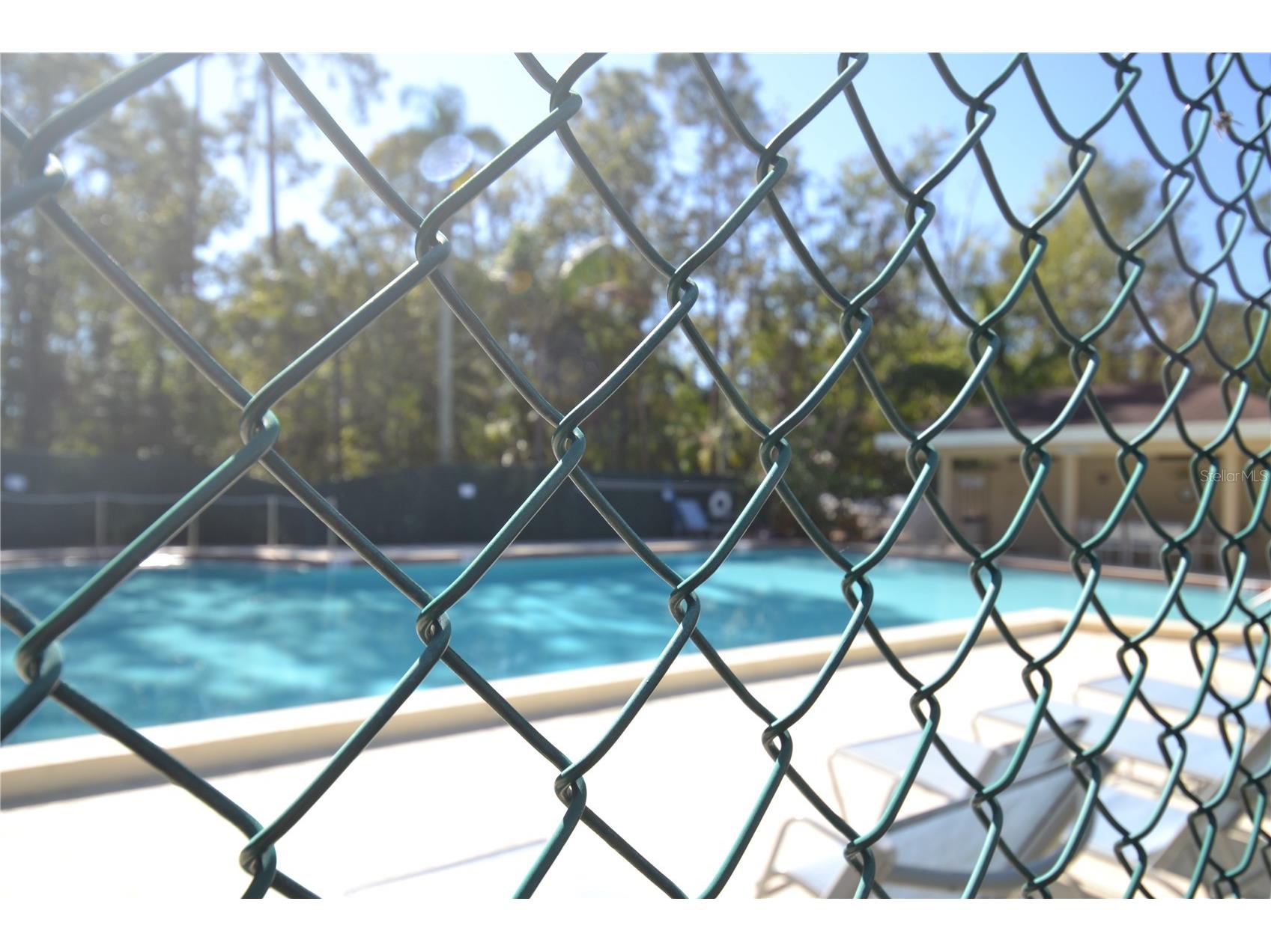 112 Lindsay Lane Oldsmar FL 34677 TB8501797 image71