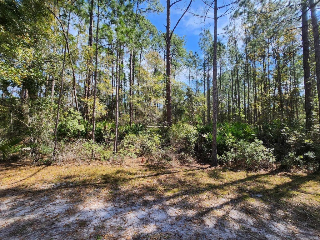 112 Mosswood Street Georgetown FL 32139 FC308376 image3