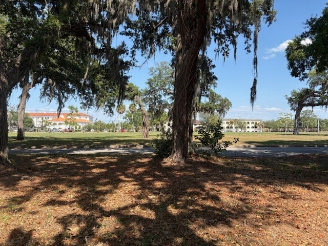 112 N Lockmoor Avenue Temple Terrace FL 33617 TB8503109 image2