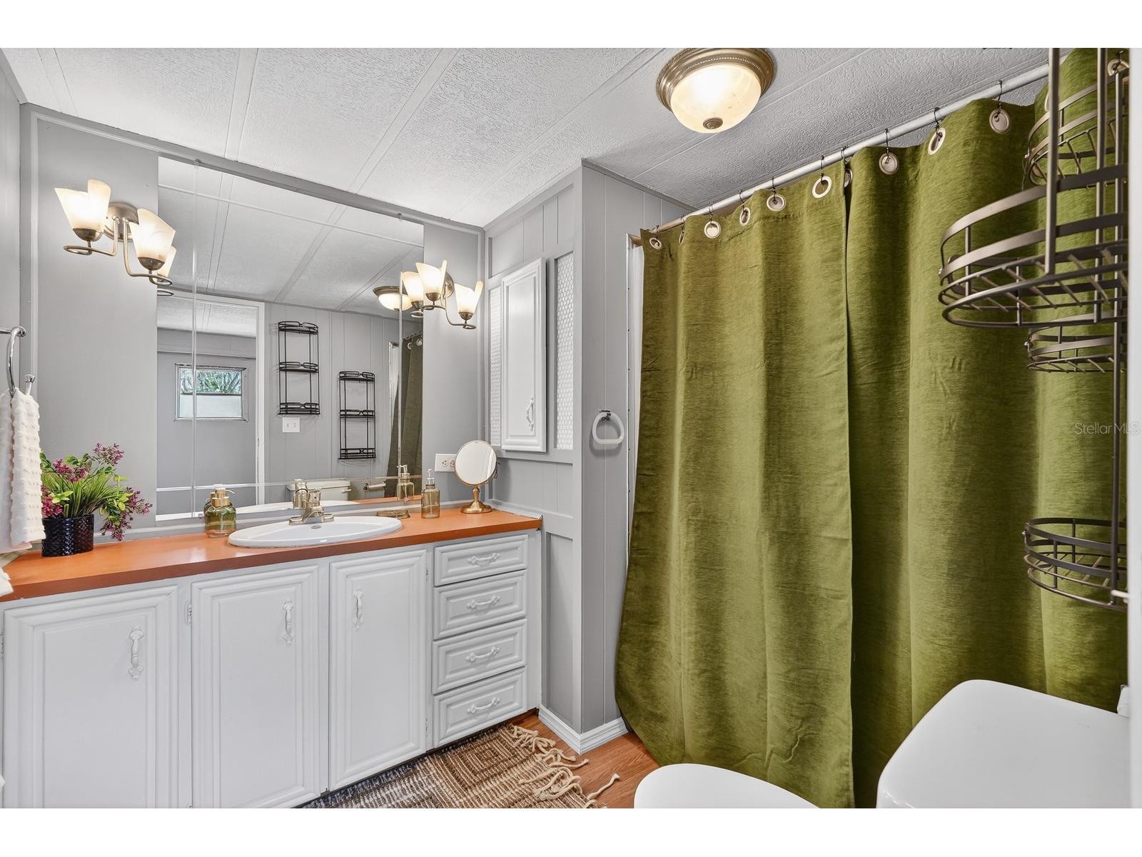 112 Palmer Drive Interlachen FL 32148 FC317721 image19
