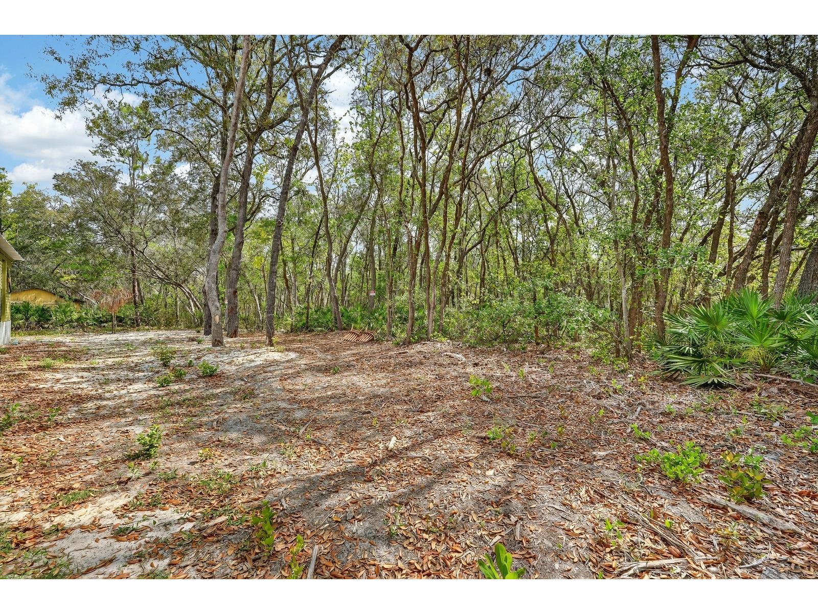 112 Palmer Drive Interlachen FL 32148 FC317721 image24