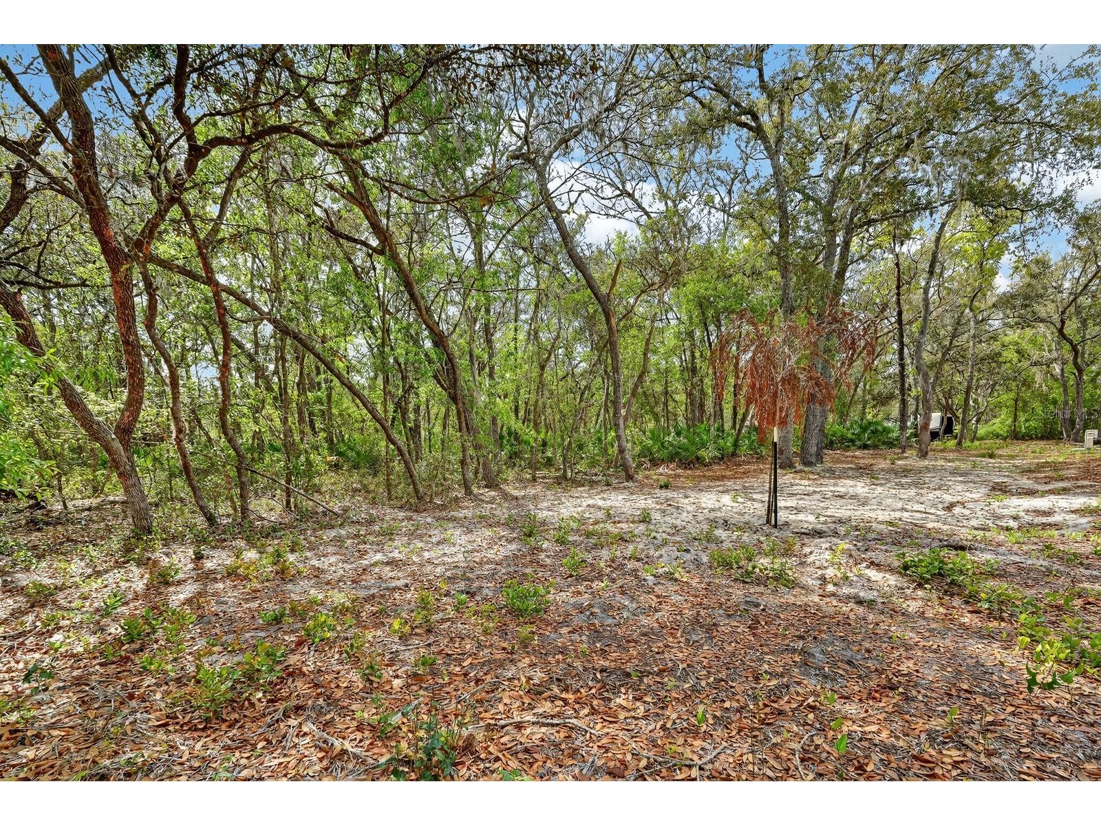 112 Palmer Drive Interlachen FL 32148 FC317721 image25
