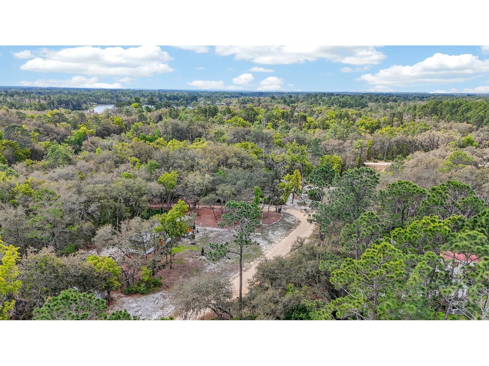 112 Palmer Drive Interlachen FL 32148 FC317721 image30